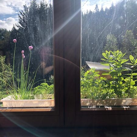 A L'Oree De Soi - Maison Forestiere De La Soie - Eco Gite, Chambres D'Hotes, Camping Au Pied Des Vosges Saint-Sauveur  Kültér fotó