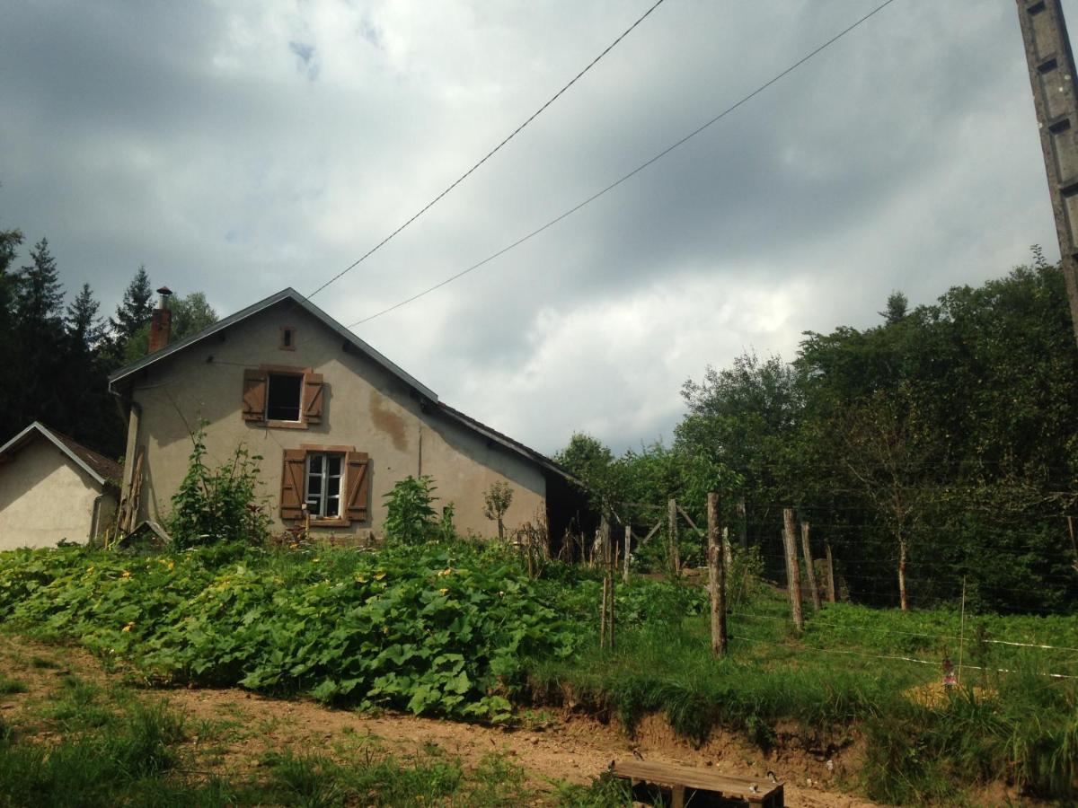 A L'Oree De Soi - Maison Forestiere De La Soie - Eco Gite, Chambres D'Hotes, Camping Au Pied Des Vosges Saint-Sauveur  Kültér fotó