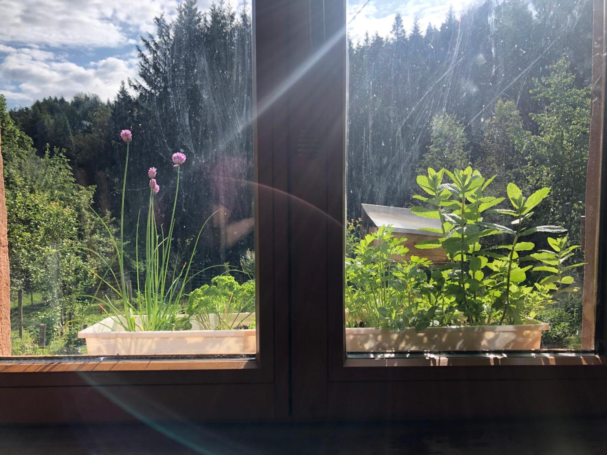 A L'Oree De Soi - Maison Forestiere De La Soie - Eco Gite, Chambres D'Hotes, Camping Au Pied Des Vosges Saint-Sauveur  Kültér fotó