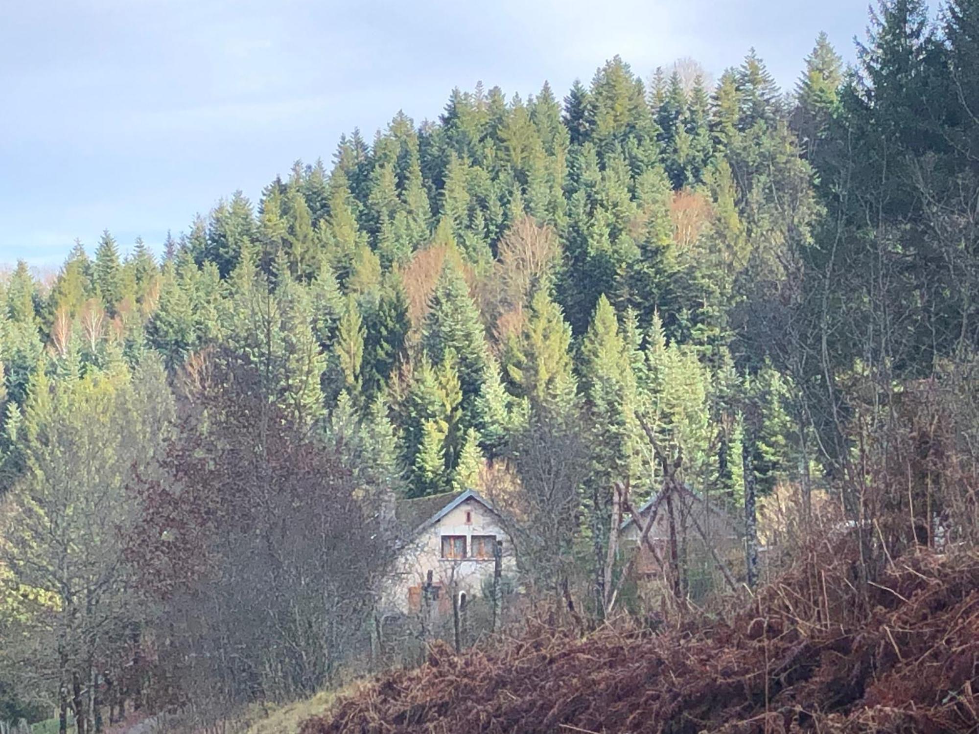 A L'Oree De Soi - Maison Forestiere De La Soie - Eco Gite, Chambres D'Hotes, Camping Au Pied Des Vosges Saint-Sauveur  Kültér fotó