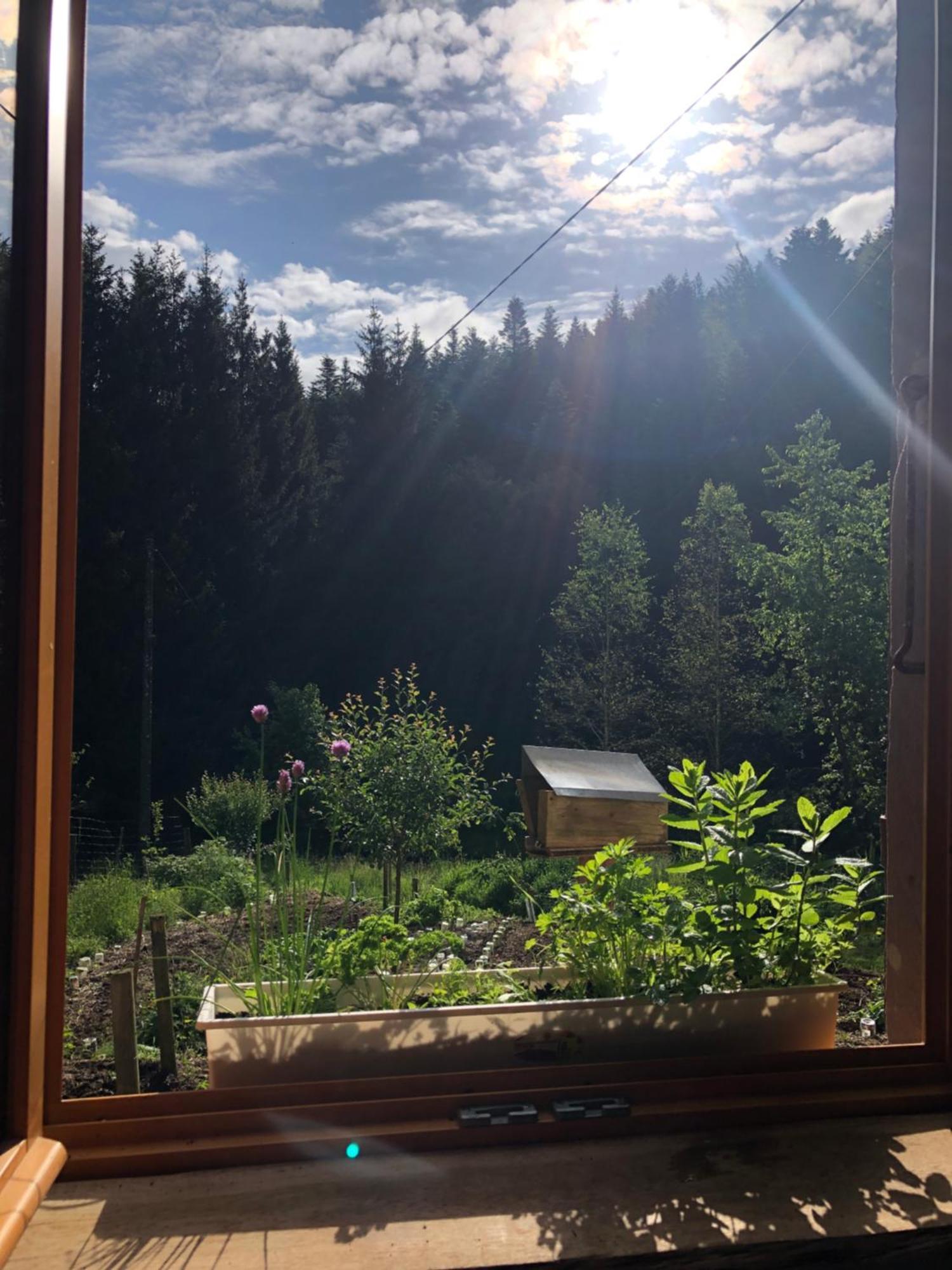 A L'Oree De Soi - Maison Forestiere De La Soie - Eco Gite, Chambres D'Hotes, Camping Au Pied Des Vosges Saint-Sauveur  Kültér fotó