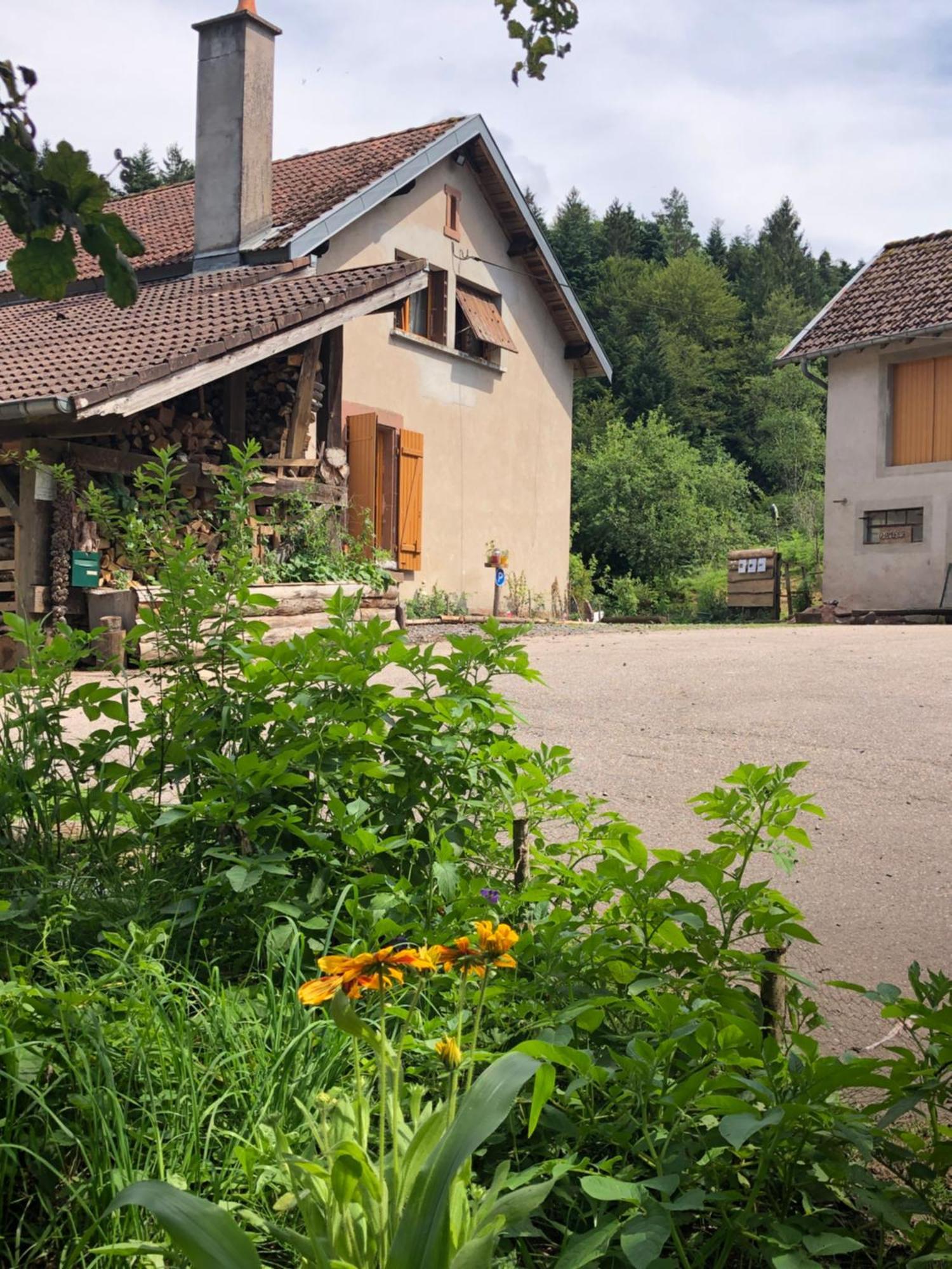 A L'Oree De Soi - Maison Forestiere De La Soie - Eco Gite, Chambres D'Hotes, Camping Au Pied Des Vosges Saint-Sauveur  Kültér fotó
