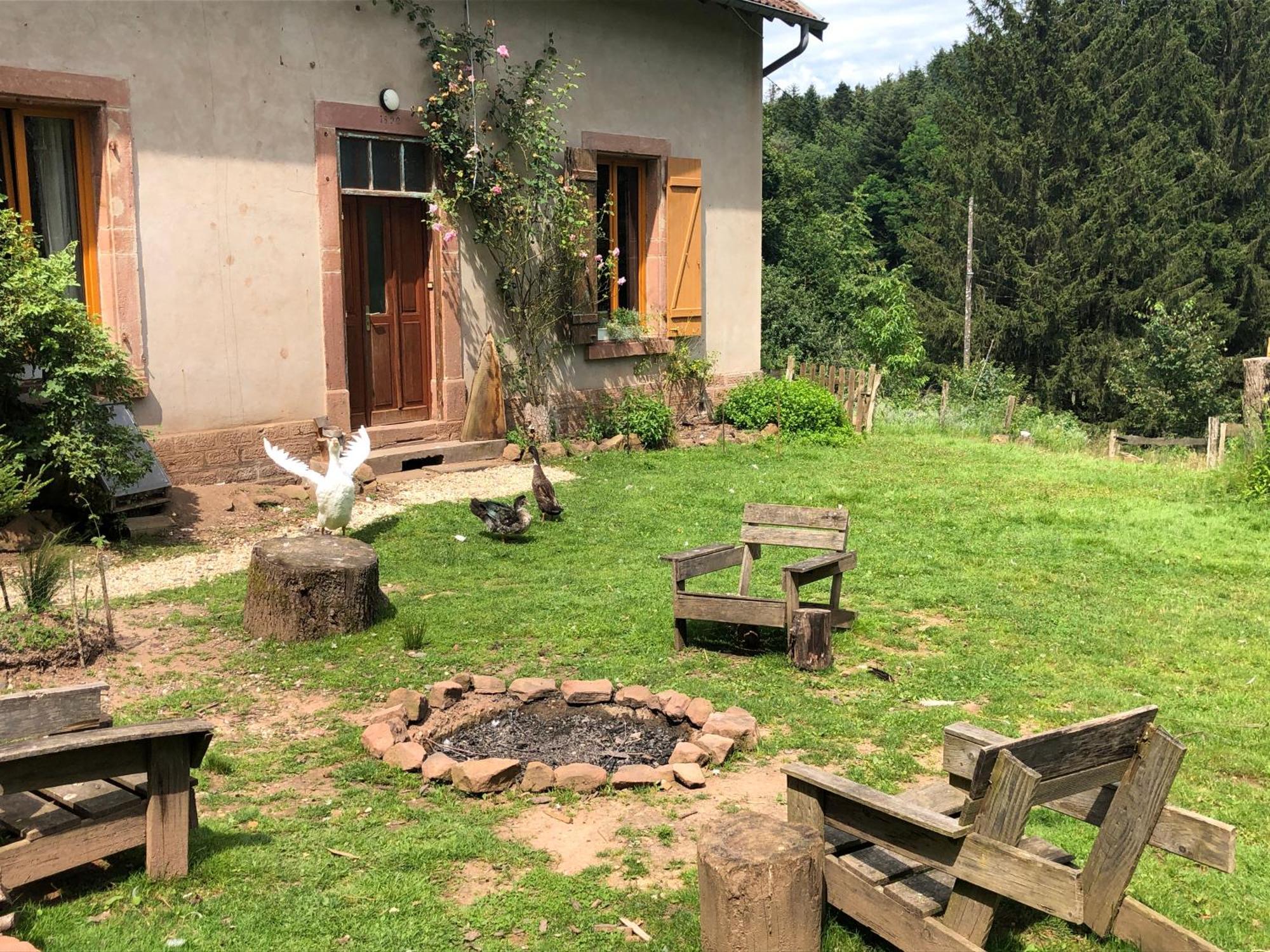 A L'Oree De Soi - Maison Forestiere De La Soie - Eco Gite, Chambres D'Hotes, Camping Au Pied Des Vosges Saint-Sauveur  Kültér fotó