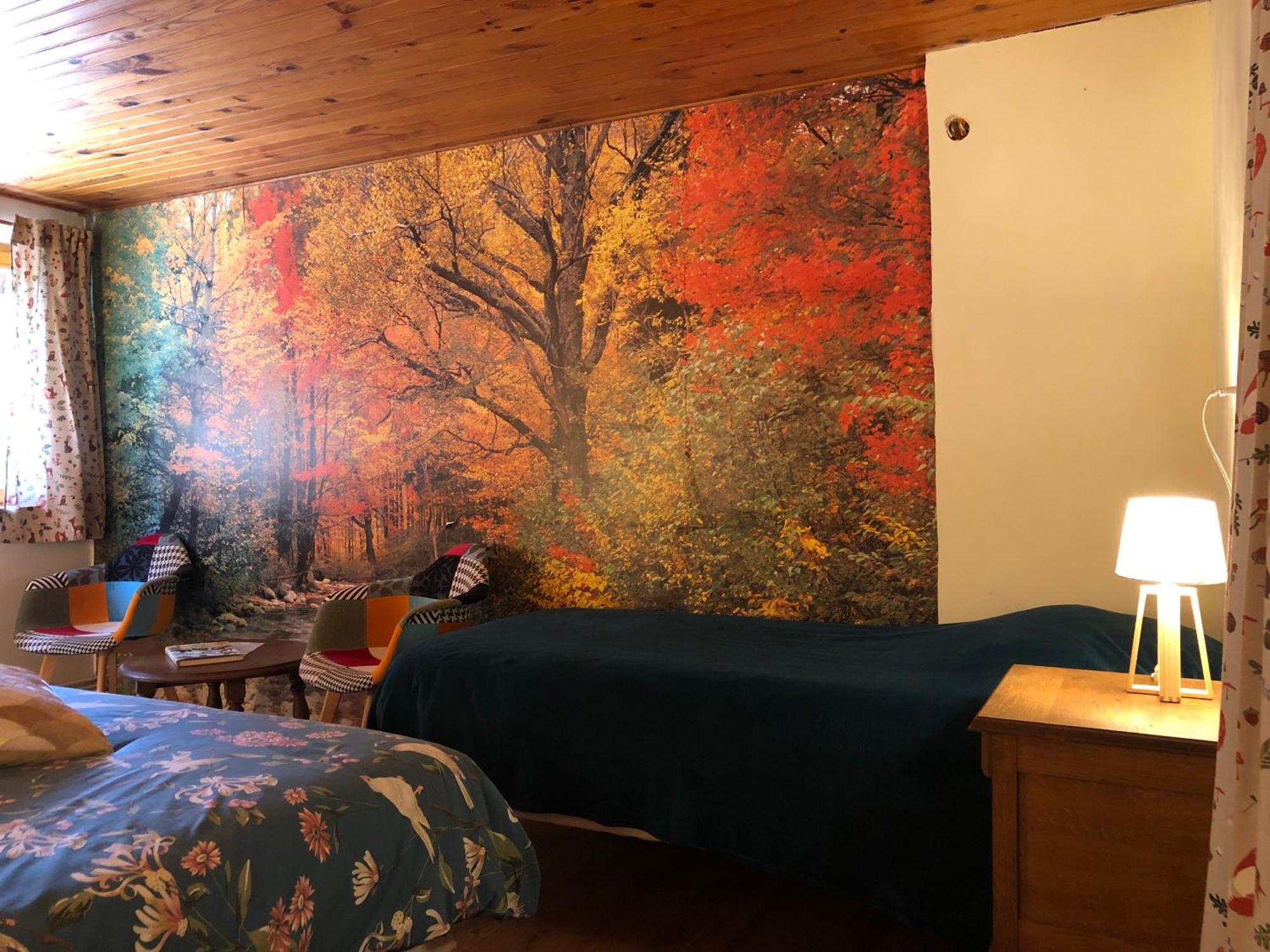 A L'Oree De Soi - Maison Forestiere De La Soie - Eco Gite, Chambres D'Hotes, Camping Au Pied Des Vosges Saint-Sauveur  Kültér fotó