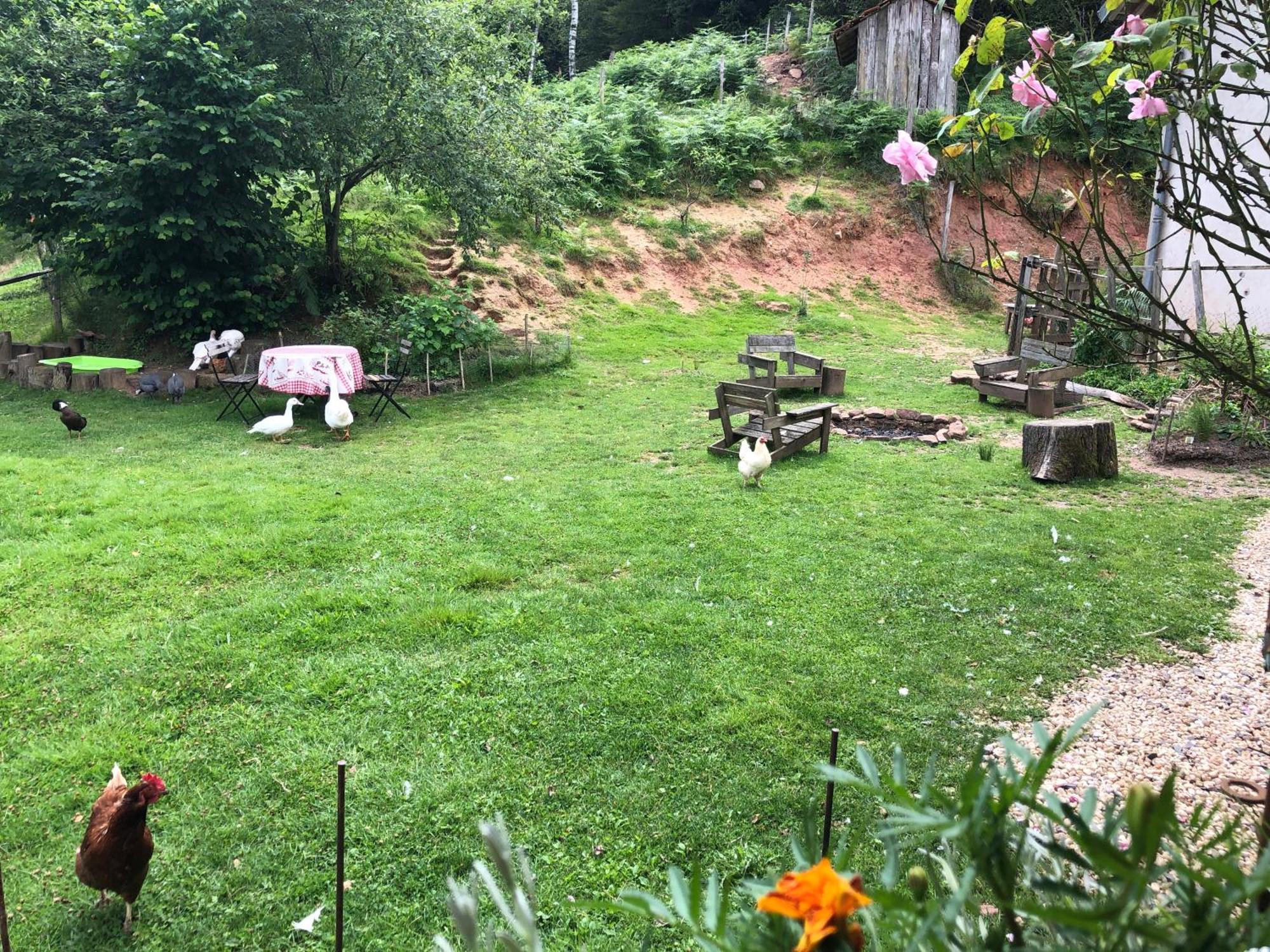 A L'Oree De Soi - Maison Forestiere De La Soie - Eco Gite, Chambres D'Hotes, Camping Au Pied Des Vosges Saint-Sauveur  Kültér fotó